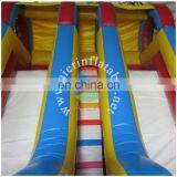 Double Lanes Inflatable Water Slides for Sale, Giant Inflatable Slide for Adult thumbnail-3
