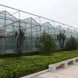 Venlo Type PC (Polycarbonate) Sheet Greenhouse for Tomato/Cucumber/Pepper