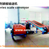 BLT Series Scale Conveyor