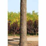 Artificial Coconut Tree thumbnail-2