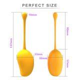 Triple Lover Balls - Duotone Ben Wa Kegel Weights - Pelvic Floor Exercise - Adult Sex Toys thumbnail-3