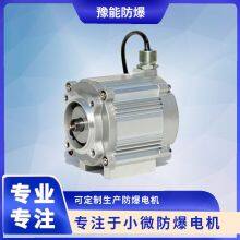 BS01 DC Brushless Permanent Magnet Motor for Oil and Gas Recovery thumbnail-2