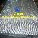 General Mesh Aluminum Expanded Auto Guard,aperture :8*16mm
