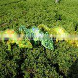 2014 New Design Realistic Chameleon Plush Toy thumbnail-1