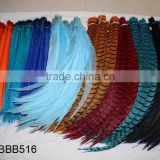 Dyed colors Long Pheasant tail feathers LZBBB516