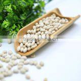 White Kidney Beans (Navy Type) thumbnail-2