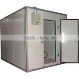 Hot Sell Polyurethane Panel Cold Room