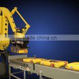 2014 Anhui YHMD-1 Automatic 25KG Bag Palletizing Horizontal Pallet Bag Packing Machine thumbnail-4