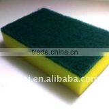 Scouring Sponge thumbnail-1