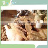 Hot Sale Horticulture Bark Garden Bark thumbnail-4