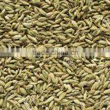 Fennel Seed