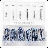 TC 40pc Assorted Molly Bolt Kit