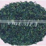 Japanese Flavor Sencha Green Tea thumbnail-1