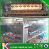 Macadamia Hawaii / Queensland Nut Tapping Machine