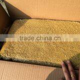 Best Selling Bee Product! Newest Natrual Health Food Rape Bee Pollen With High Quality thumbnail-2