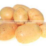 OULENO Potato Cleaning and Peeling Machine Large Roots Fruits and Vegetables Washing Peeling Machine Potato Carrot Cleaning and thumbnail-2