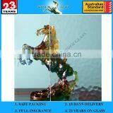 Стекло Rider с рисунком thumbnail-1