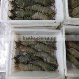 Frozen Shrimp How to Cook thumbnail-1
