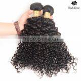 Black Rose New Arrival Crochet Braids With Human Malaysain Curly Hair, Raw Unprocessed Malaysian Human Hair thumbnail-2