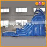 2017 China Popular Water Games Dolphin Inflatable Water Slides for Lake thumbnail-4
