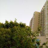 XiAn Wisdom Computer Info&tech Co., Ltd company overview - view 1 thumbnail