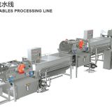 Vegetable And Fruit Washing Machine/Cleaning Processing Line