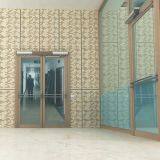 SWING AUTO-DOOR DSW-160