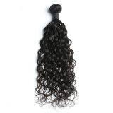 Curly 100% Human Hair Bundles Brazilian Hair Cuticle Aligned Raw Virgin Hair thumbnail-4