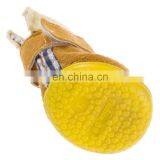 Wholesale Factory Manufacturer Clothing Diy Waterproof Custom Converse Rabbits Pet Cat Dog Shoes For Pet Dog thumbnail-4