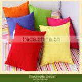 Decorative Cushion/office Pad/car Pad/feather Cushion thumbnail-1
