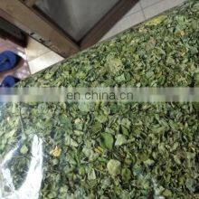 Dried Moringa Leaf From Vietnam thumbnail-4