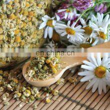 Vietnam Organic Dried Chrysanthemum Flower Tea/ High Quality Natural and Healthy Dried Daisy Flower Herbal Tea From Vietnam thumbnail-3