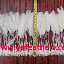 Stripped White Rooster/Coque/Cock Tail Feather For Wholesale from China