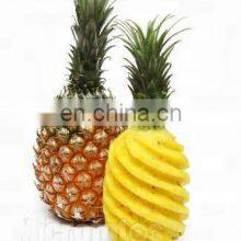 Automatic Coconut Peeling Machine/pineapple Peeling Machine thumbnail-4