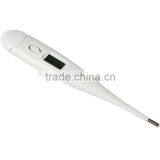 Electronic Clinical Thermometer