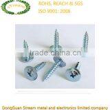 OEM Professional Hot Sale Self-tapping Screw