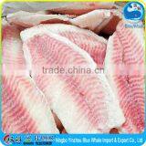Fillet Tilapia Price Frozen Tilapia Fish thumbnail-4