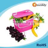 Insulated Food Cooler Bag for Frozen Food Picninc Cooler Bag thumbnail-2