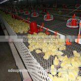 Nipple Drinking System for Chicks