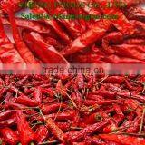 CHILI POWDER _ FROM VIET NAM thumbnail-2