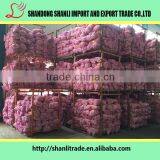 Chinese Bottled Garlic Chinese Garlic/fresh Garlic Garlic thumbnail-2