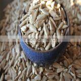 Cooking Oil of Sunflower Kernels thumbnail-2