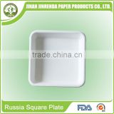 Disposable bio-degradable eco-friendly Party Russia Square Tray with sugarcane and wheatstraw pulp