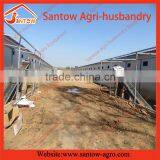 Factory Design Full-auto Hot-dipped Farm Equipment for Broiler Chicken thumbnail-3