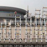 11 Steps Telescopic Ladder thumbnail-2