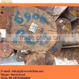 Keruing Veneer/commerical Wood Veneer/Natural Face Veneer thumbnail-4