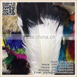 Wholesale Imitation Eagle Feather Top Quality Best White Turkey Black Tip Feather