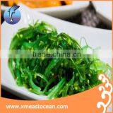 Seasoned Frozen Seaweed Salad thumbnail-1