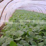 Agricultural Greenhouses Film thumbnail-2
