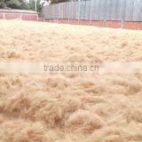 Coconut Fiber - QQ : 2598494113 thumbnail-1